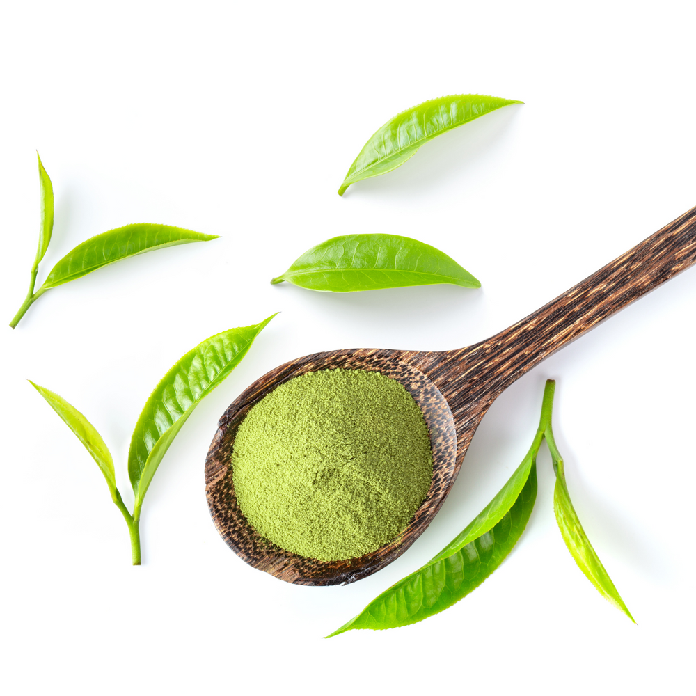 Matcha -Grüner Tee Extrakt