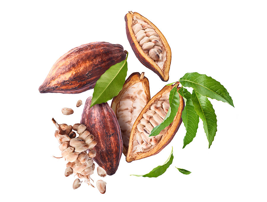 Eine, in der Mitte gespaltene Kakaofrucht, mit weiteren Kakobohnen angerichtet. Die  Bohnen sind mit Blättern verziert.